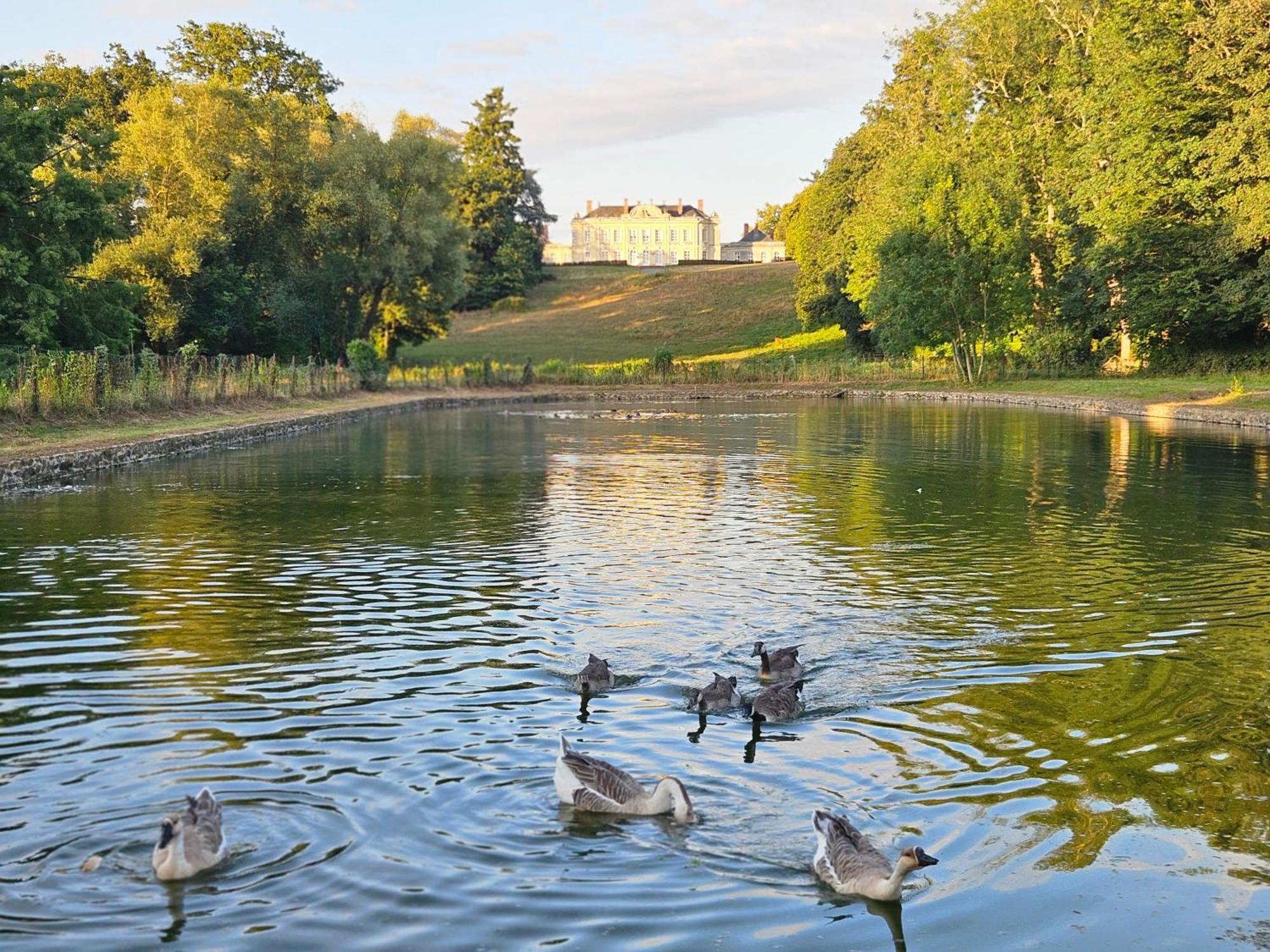 Chateau De Craon Craon  Экстерьер фото
